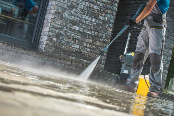 Best Gutter Cleaning  in Tripoli, IA