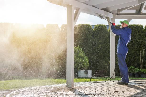 Best Warehouse Cleaning  in Tripoli, IA
