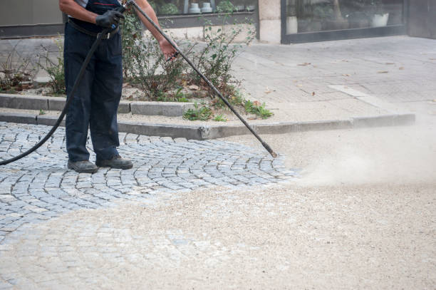 Best Pre-Holiday Cleaning  in Tripoli, IA