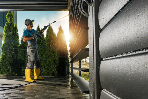 Best Sidewalk and Walkway Cleaning  in Tripoli, IA